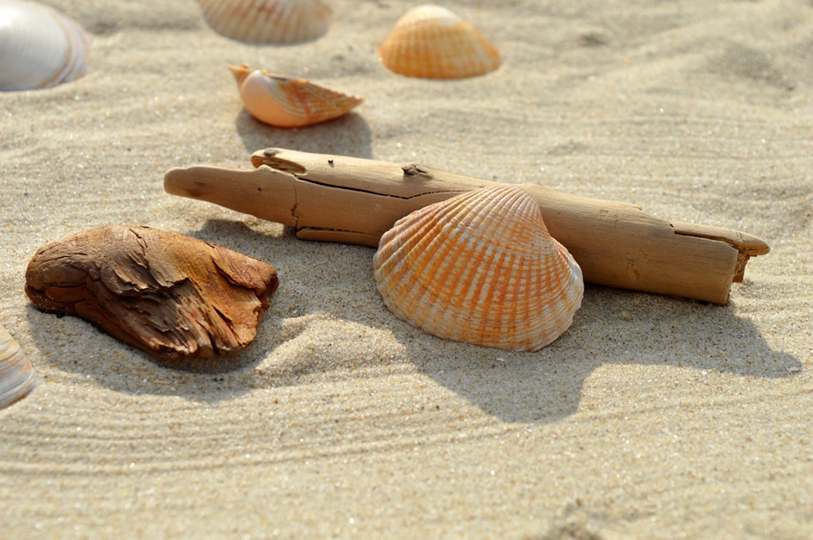 Onda de calor na Europa fecha escolas; temperaturas devem ultrapassar 40°C em vários países