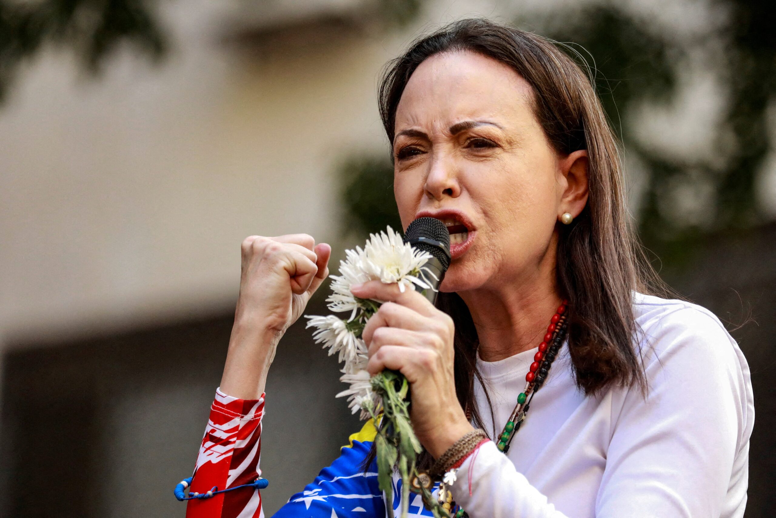 Organizações norueguesas cancelam participação em cortejo por discordar do Nobel da Paz a María Corina Machado Organizações norueguesas cancelam participação em cortejo por discordar do Nobel da Paz a María Corina Machado