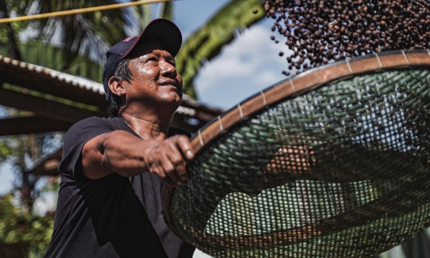Cooperação que transforma: Sicoob leva cases de sucesso para a COP30