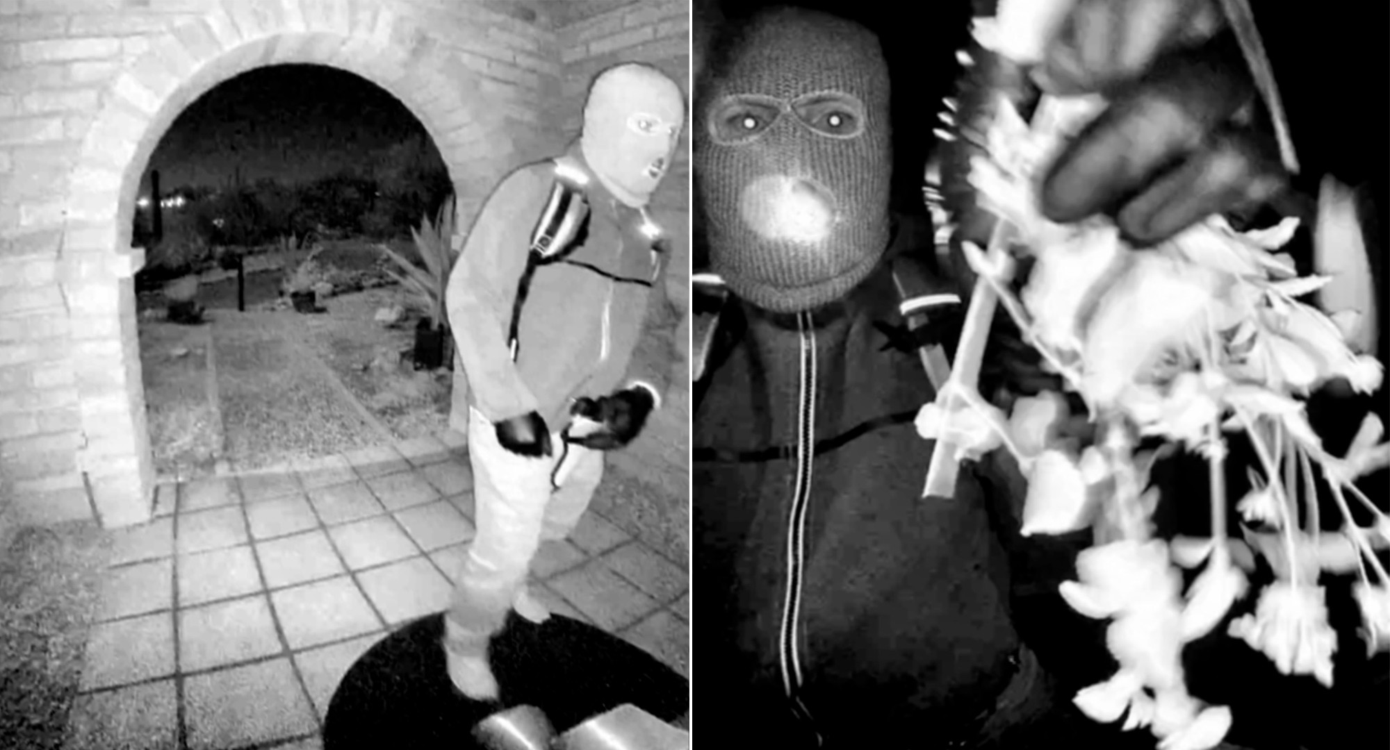 Nancy Guthrie: polícia prende pessoa suspeita do sequestro de mãe de apresentadora